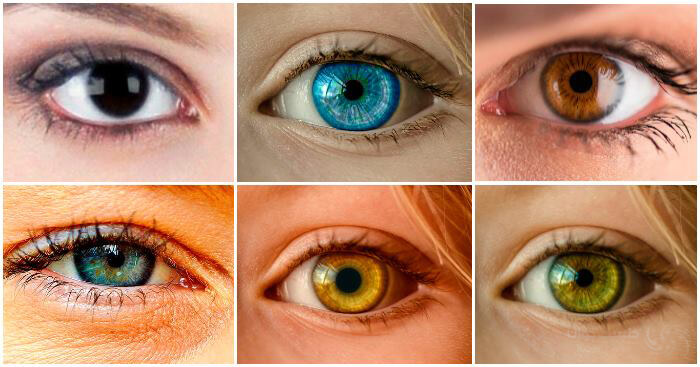 لنزهای تماسی رنگی ساده ترین راه برای تغییر موقت رنگ چشم